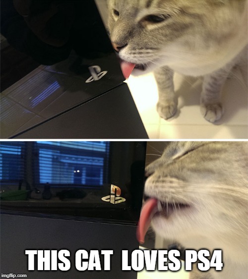 THIS CAT  LOVES PS4 | image tagged in cats,funny cats,ps4 | made w/ Imgflip meme maker
