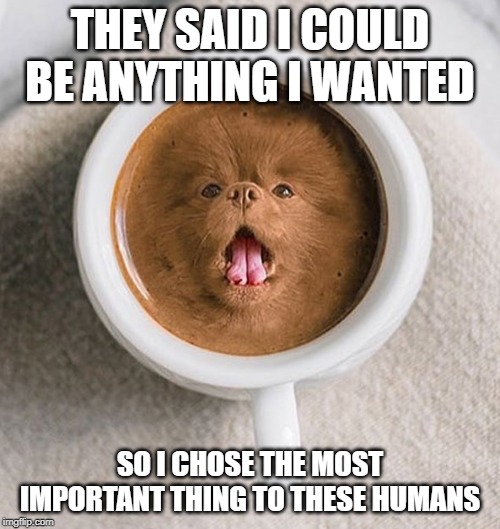 THEY SAID I COULD BE ANYTHING I WANTED; SO I CHOSE THE MOST IMPORTANT THING TO THESE HUMANS | image tagged in bad pun dogs,coffee | made w/ Imgflip meme maker