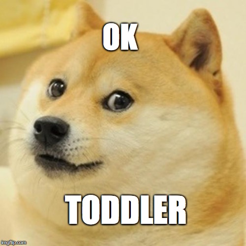 Doge Meme | OK; TODDLER | image tagged in memes,doge | made w/ Imgflip meme maker