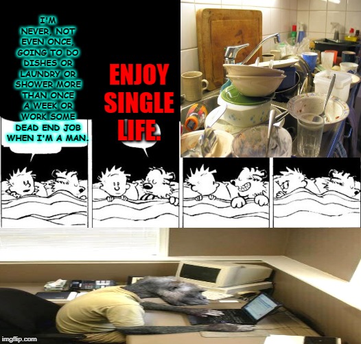 Bubble Burster Rebooted Calvin and Hobbes | ENJOY SINGLE LIFE. I'M NEVER, NOT EVEN ONCE, GOING TO DO DISHES OR LAUNDRY OR SHOWER MORE THAN ONCE A WEEK OR WORK SOME DEAD END JOB WHEN I'M A MAN. | image tagged in bubble burster rebooted calvin and hobbes | made w/ Imgflip meme maker