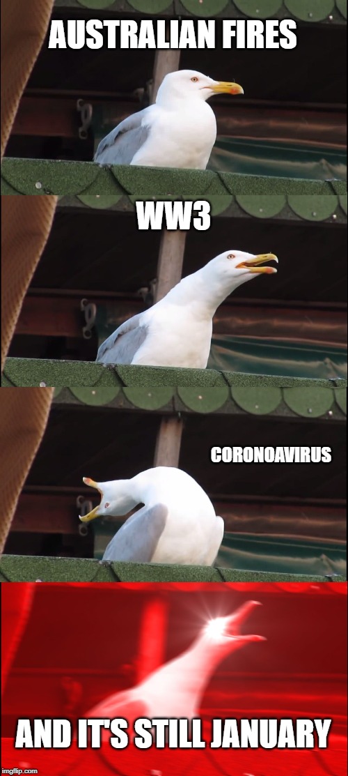 Inhaling Seagull | AUSTRALIAN FIRES; WW3; CORONOAVIRUS; AND IT'S STILL JANUARY | image tagged in memes,inhaling seagull | made w/ Imgflip meme maker