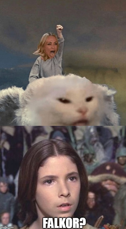 THAT WOMAN AND CAT ARE EVERYWHERE! | FALKOR? | image tagged in memes,woman yelling at cat,never ending story,wtf | made w/ Imgflip meme maker