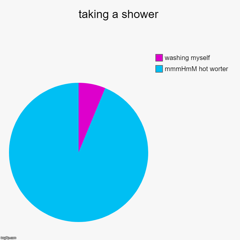 taking a shower | mmmHmM hot worter, washing myself | image tagged in charts,pie charts | made w/ Imgflip chart maker