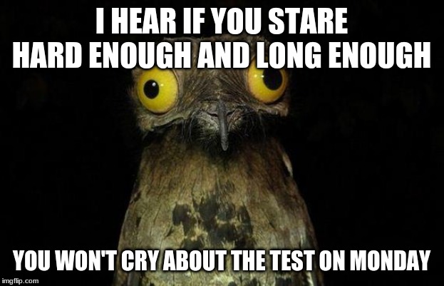 Weird Stuff I Do Potoo Meme | I HEAR IF YOU STARE HARD ENOUGH AND LONG ENOUGH; YOU WON'T CRY ABOUT THE TEST ON MONDAY | image tagged in memes,weird stuff i do potoo | made w/ Imgflip meme maker