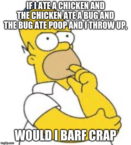 Homer Simpson Hmmmm | IF I ATE A CHICKEN AND THE CHICKEN ATE A BUG AND THE BUG ATE POOP AND I THROW UP, WOULD I BARF CRAP | image tagged in homer simpson hmmmm | made w/ Imgflip meme maker