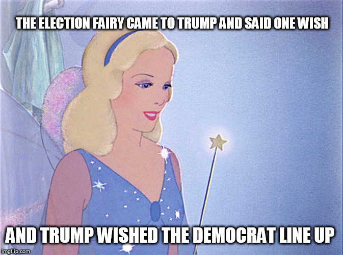 blue fairy | THE ELECTION FAIRY CAME TO TRUMP AND SAID ONE WISH; AND TRUMP WISHED THE DEMOCRAT LINE UP | image tagged in blue fairy | made w/ Imgflip meme maker