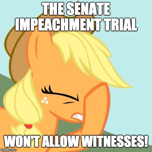 Welp... we're screwed! | THE SENATE IMPEACHMENT TRIAL; WON'T ALLOW WITNESSES! | image tagged in aj face hoof,memes,donald trump,trump impeachment,senate trial,witnesses | made w/ Imgflip meme maker