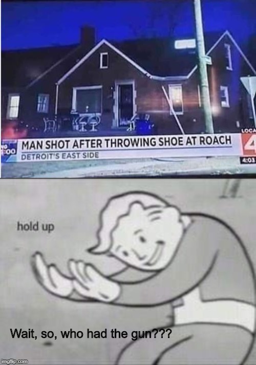 Huh??? | Wait, so, who had the gun??? | image tagged in fallout hold up | made w/ Imgflip meme maker