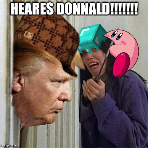 Donald trump here's Donny | HEARES DONNALD!!!!!!! | image tagged in donald trump here's donny | made w/ Imgflip meme maker