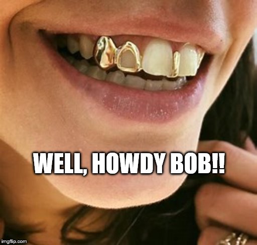 WELL, HOWDY BOB!! | made w/ Imgflip meme maker