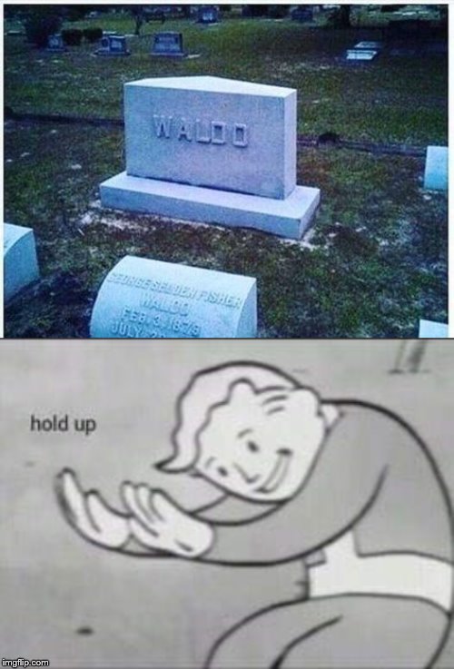 Wait. Waldo Died? | image tagged in fallout hold up | made w/ Imgflip meme maker