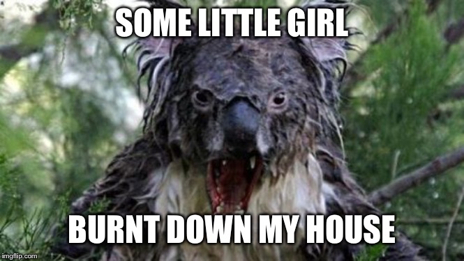 Angry Koala | SOME LITTLE GIRL; BURNT DOWN MY HOUSE | image tagged in memes,angry koala | made w/ Imgflip meme maker