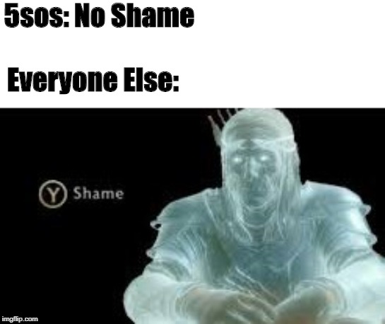 Y (Shame) | 5sos: No Shame; Everyone Else: | image tagged in y shame | made w/ Imgflip meme maker