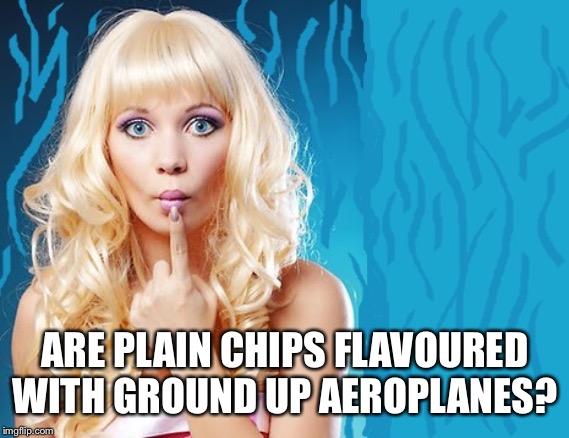 ditzy blonde | ARE PLAIN CHIPS FLAVOURED WITH GROUND UP AEROPLANES? | image tagged in ditzy blonde | made w/ Imgflip meme maker