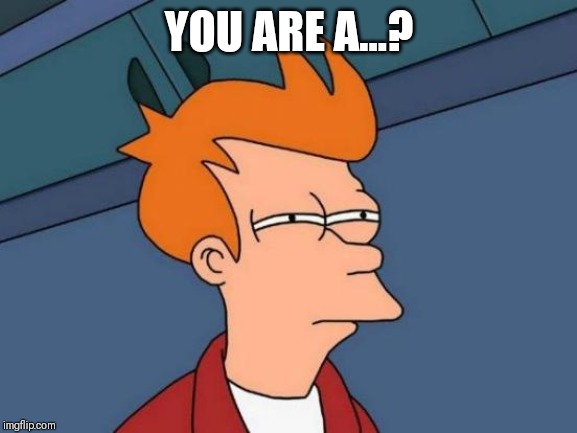 Futurama Fry | YOU ARE A...? | image tagged in memes,futurama fry | made w/ Imgflip meme maker
