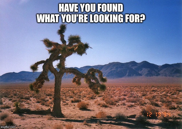 HAVE YOU FOUND WHAT YOU’RE LOOKING FOR? | image tagged in inspirational memes | made w/ Imgflip meme maker