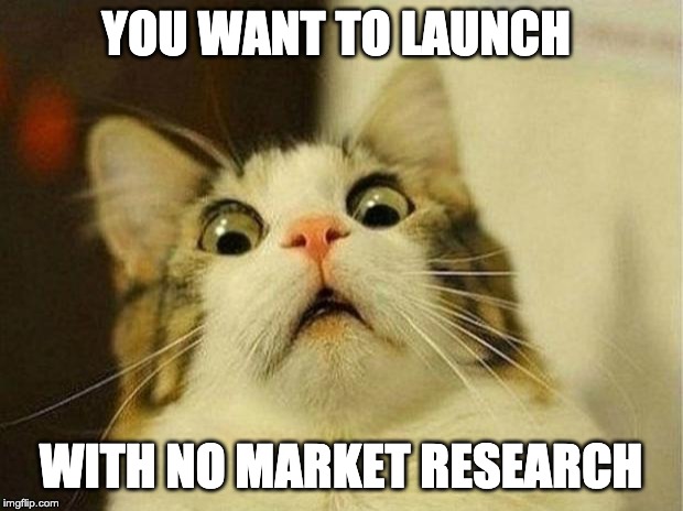 Scared Cat | YOU WANT TO LAUNCH; WITH NO MARKET RESEARCH | image tagged in memes,scared cat | made w/ Imgflip meme maker