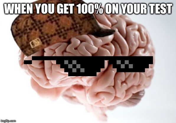 Test |  WHEN YOU GET 100% ON YOUR TEST | image tagged in memes,scumbag brain | made w/ Imgflip meme maker
