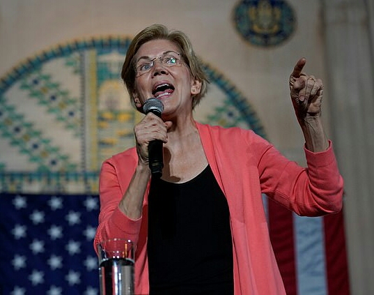 Crazy as a loon Elizabeth Warren Blank Meme Template