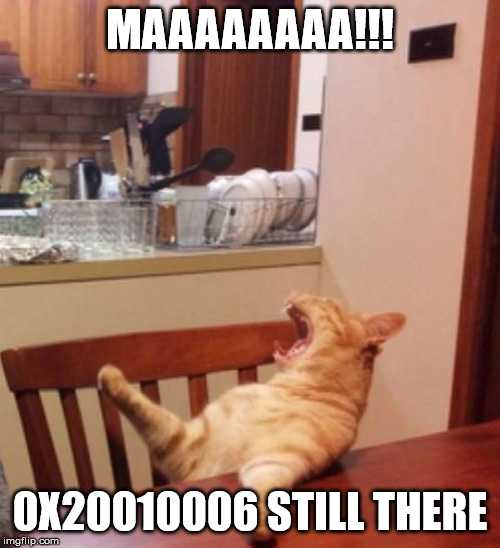 Yelling Cat | MAAAAAAAA!!! 0X20010006 STILL THERE | image tagged in yelling cat | made w/ Imgflip meme maker