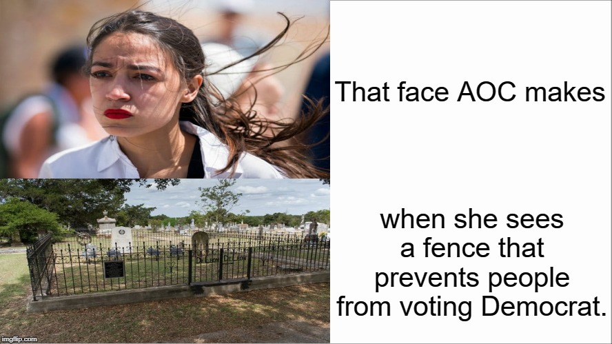 Oh, THE HUMANITY! | That face AOC makes; when she sees a fence that prevents people from voting Democrat. | image tagged in alexandria ocasio-cortez,aoc,aoc crying,memes | made w/ Imgflip meme maker