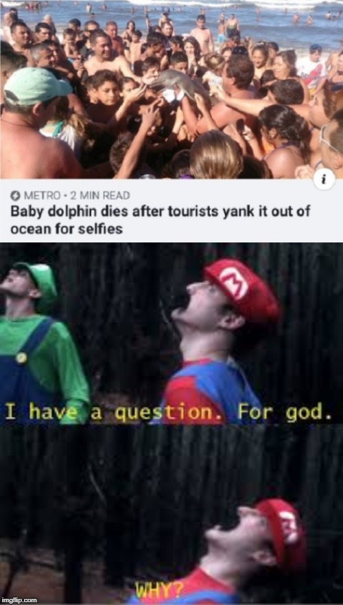 Why | image tagged in i have a question for god | made w/ Imgflip meme maker