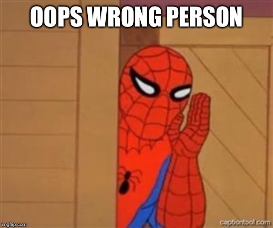 psst spiderman | OOPS WRONG PERSON | image tagged in psst spiderman | made w/ Imgflip meme maker