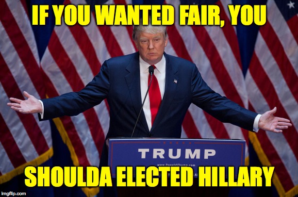 Donald Trump | IF YOU WANTED FAIR, YOU SHOULDA ELECTED HILLARY | image tagged in donald trump | made w/ Imgflip meme maker