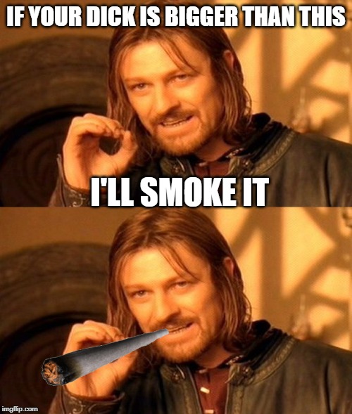 IF YOUR DICK IS BIGGER THAN THIS; I'LL SMOKE IT | image tagged in memes,one does not simply | made w/ Imgflip meme maker