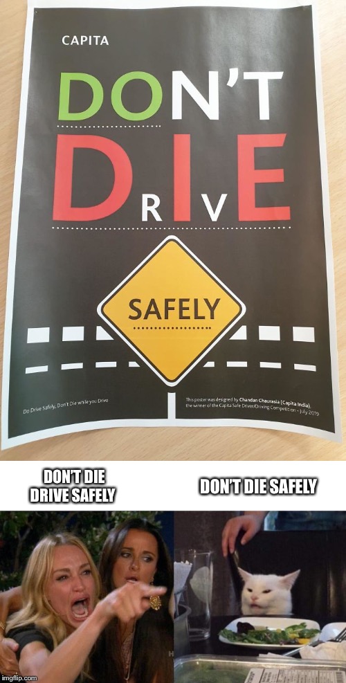 DON’T DIE SAFELY; DON’T DIE DRIVE SAFELY | image tagged in memes,woman yelling at cat | made w/ Imgflip meme maker