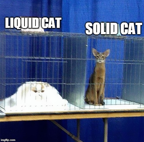 SOLID CAT; LIQUID CAT | image tagged in cats,funny cats | made w/ Imgflip meme maker