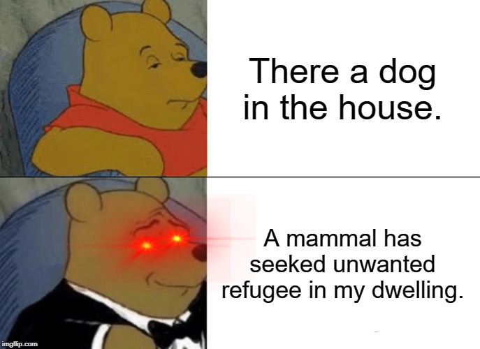 Tuxedo Winnie The Pooh Meme | There a dog in the house. A mammal has seeked unwanted refugee in my dwelling. | image tagged in memes,tuxedo winnie the pooh | made w/ Imgflip meme maker