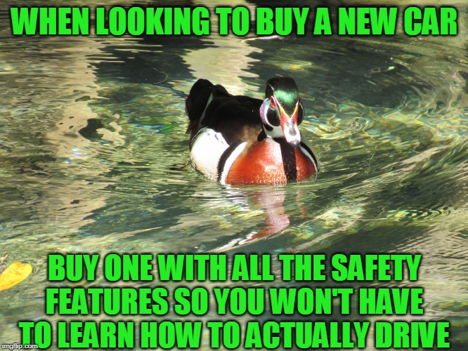 Seriously car commercials show the worst drivers on the road | WHEN LOOKING TO BUY A NEW CAR; BUY ONE WITH ALL THE SAFETY FEATURES SO YOU WON'T HAVE TO LEARN HOW TO ACTUALLY DRIVE | image tagged in bad advice mallard | made w/ Imgflip meme maker