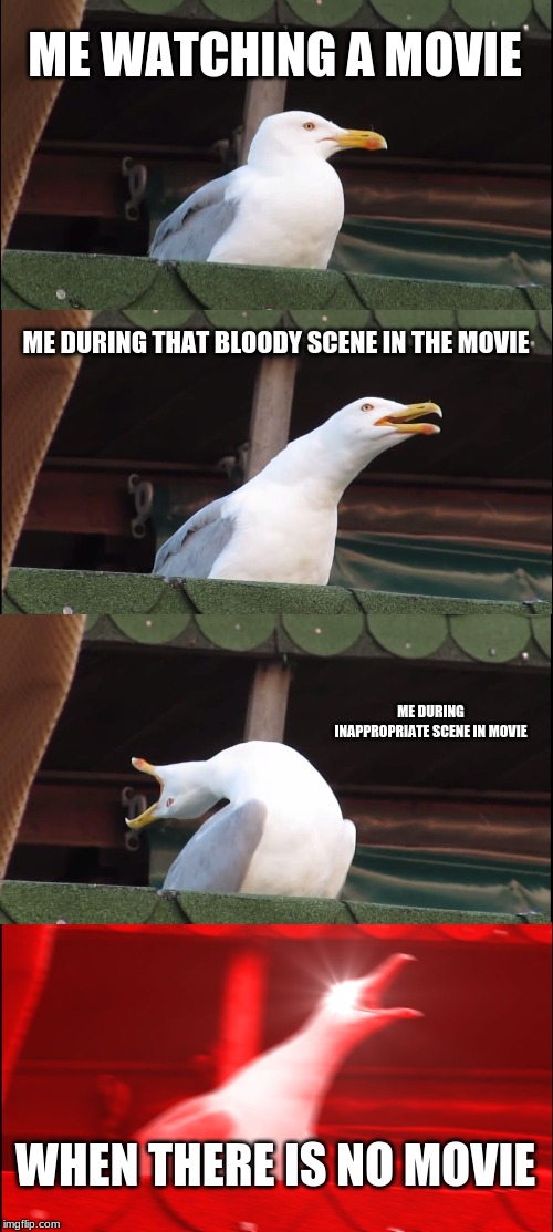 Inhaling Seagull | ME WATCHING A MOVIE; ME DURING THAT BLOODY SCENE IN THE MOVIE; ME DURING INAPPROPRIATE SCENE IN MOVIE; WHEN THERE IS NO MOVIE | image tagged in memes,inhaling seagull | made w/ Imgflip meme maker