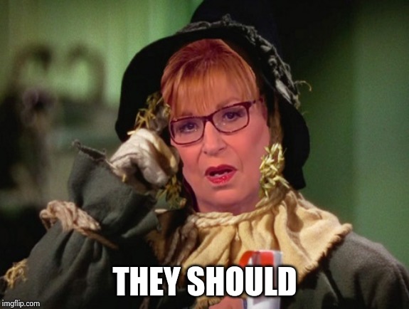 Joy Behar Scarecrow | THEY SHOULD | image tagged in joy behar scarecrow | made w/ Imgflip meme maker