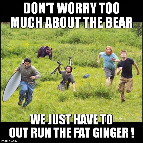 Out Run The Bear ? | DON'T WORRY TOO MUCH ABOUT THE BEAR; WE JUST HAVE TO OUT RUN THE FAT GINGER ! | image tagged in fun,bear,gingers | made w/ Imgflip meme maker