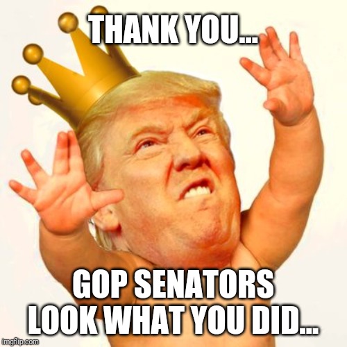 Baby trump king | THANK YOU... GOP SENATORS
LOOK WHAT YOU DID... | image tagged in baby trump king | made w/ Imgflip meme maker