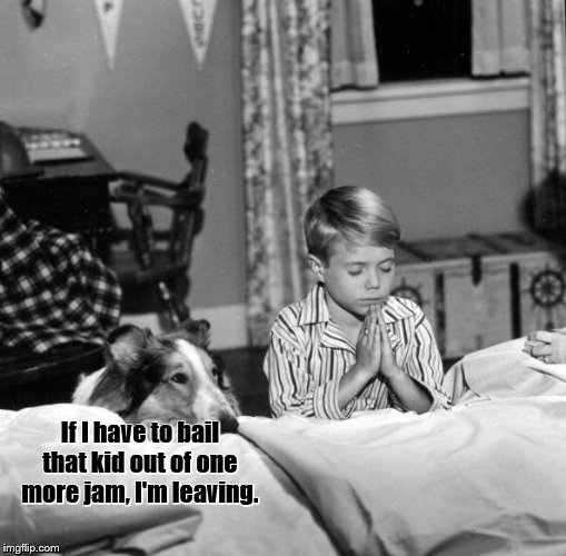 Timmy and Lassie | If I have to bail that kid out of one more jam, I'm leaving. | image tagged in timmy and lassie | made w/ Imgflip meme maker