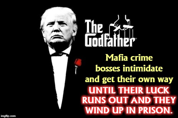 Lock him up. | Mafia crime bosses intimidate and get their own way; UNTIL THEIR LUCK RUNS OUT AND THEY WIND UP IN PRISON. | image tagged in trump mafia crime boss godfather,trump,impeachment,mafia,criminal,prison | made w/ Imgflip meme maker