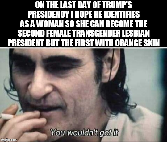Donna Trump | ON THE LAST DAY OF TRUMP'S PRESIDENCY I HOPE HE IDENTIFIES AS A WOMAN SO SHE CAN BECOME THE SECOND FEMALE TRANSGENDER LESBIAN PRESIDENT BUT THE FIRST WITH ORANGE SKIN | image tagged in you wouldn't get it,orange man bad,trump,president,transgender | made w/ Imgflip meme maker