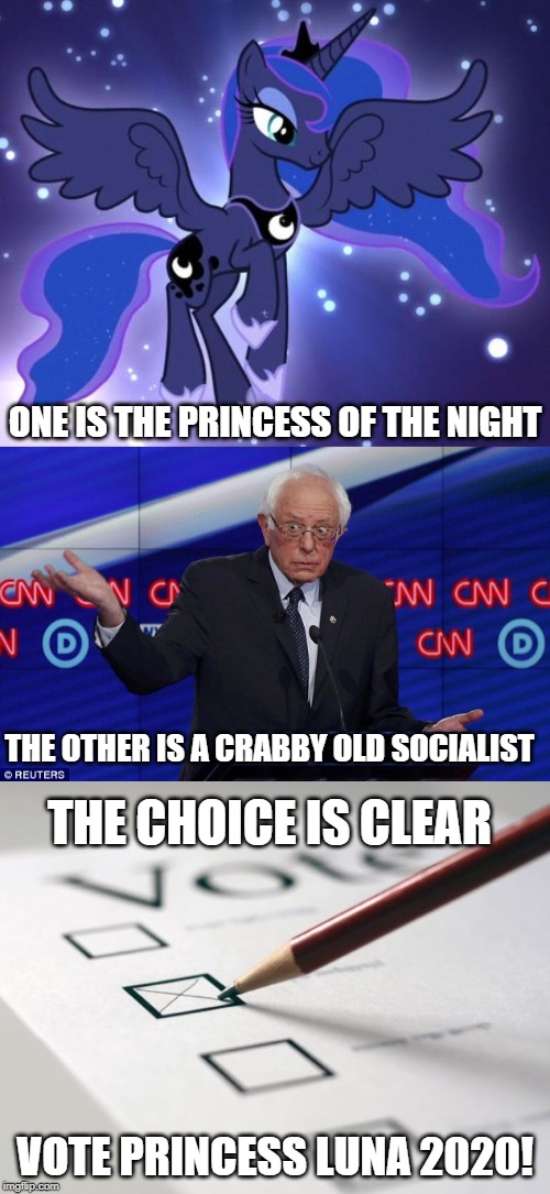 ONE IS THE PRINCESS OF THE NIGHT; THE OTHER IS A CRABBY OLD SOCIALIST; THE CHOICE IS CLEAR; VOTE PRINCESS LUNA 2020! | image tagged in voting ballot,wat bernie,princess luna | made w/ Imgflip meme maker