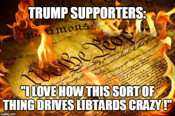 TRUMP SUPPORTERS:; "I LOVE HOW THIS SORT OF THING DRIVES LIBTARDS CRAZY !" | image tagged in trump,constitution | made w/ Imgflip meme maker