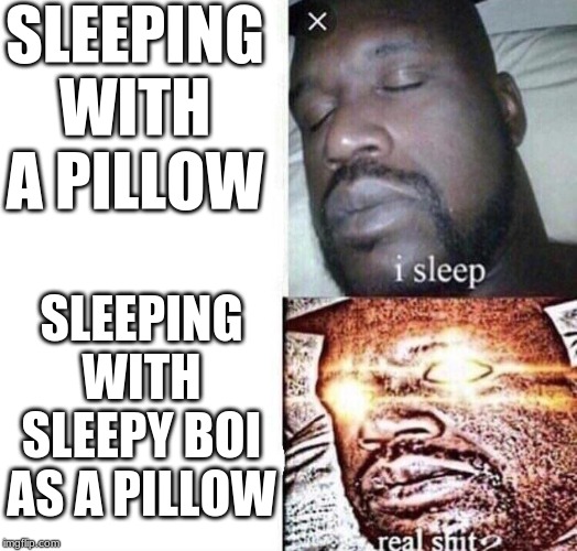 i sleep real shit | SLEEPING WITH A PILLOW SLEEPING WITH SLEEPY BOI AS A PILLOW | image tagged in i sleep real shit | made w/ Imgflip meme maker