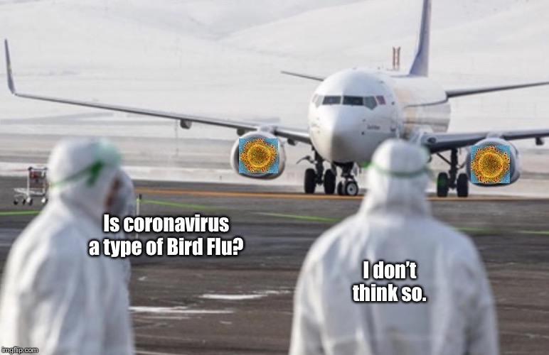 Bird Flu? | Is coronavirus a type of Bird Flu? I don’t think so. | image tagged in bird flu,coronavirus,memes,airplane,airline flights,cdc | made w/ Imgflip meme maker