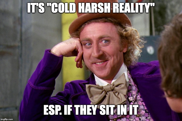 Silly wanka | IT'S "COLD HARSH REALITY"; ESP. IF THEY SIT IN IT | image tagged in silly wanka | made w/ Imgflip meme maker