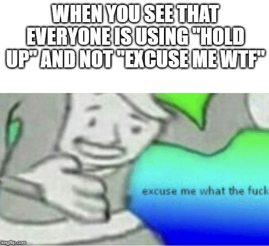 wtf | WHEN YOU SEE THAT EVERYONE IS USING "HOLD UP" AND NOT "EXCUSE ME WTF" | image tagged in excuse me wtf blank template | made w/ Imgflip meme maker