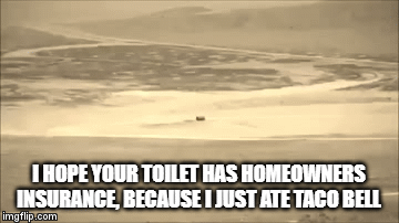 Taco Bell | I HOPE YOUR TOILET HAS HOMEOWNERS INSURANCE, BECAUSE I JUST ATE TACO BELL | image tagged in gifs | made w/ Imgflip video-to-gif maker