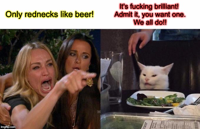 Woman Yelling At Cat Meme | Only rednecks like beer! It's f**king brilliant! 
Admit it, you want one.
We all do!! | image tagged in memes,woman yelling at cat | made w/ Imgflip meme maker