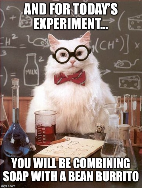 Professor Cat | AND FOR TODAY’S EXPERIMENT... YOU WILL BE COMBINING SOAP WITH A BEAN BURRITO | image tagged in professor cat | made w/ Imgflip meme maker