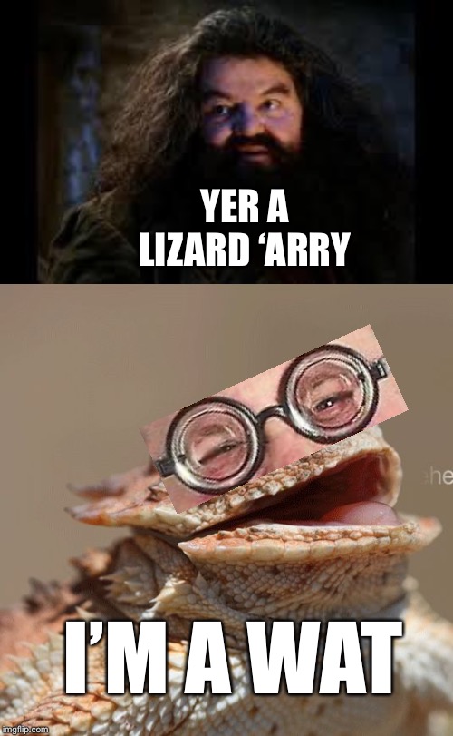 Yer a lizard ‘arry | YER A LIZARD ‘ARRY; I’M A WAT | image tagged in hagrid yer a wizard,laughing lizard | made w/ Imgflip meme maker